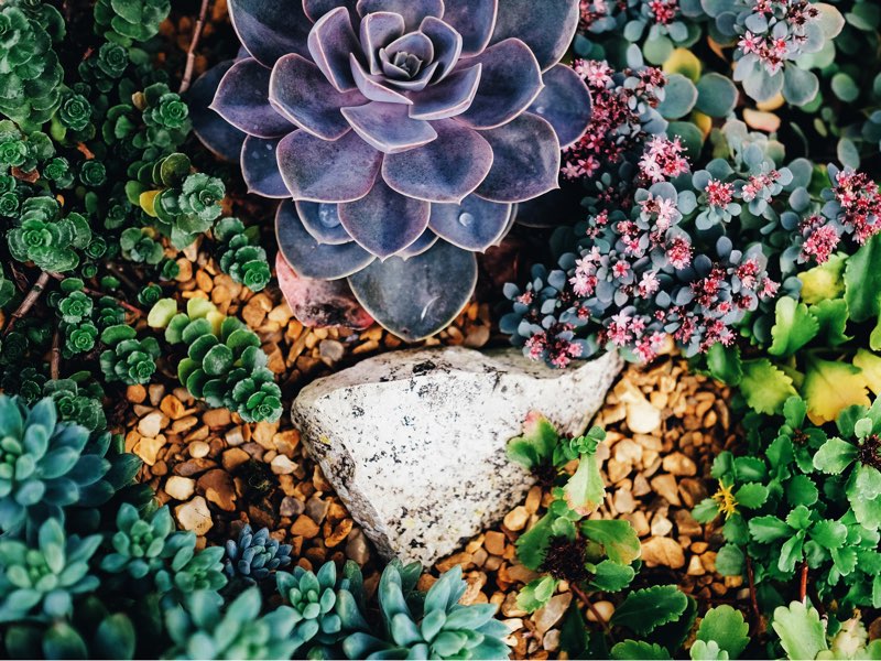 Outerspaces_rock_gardens