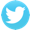 Twitter_icon