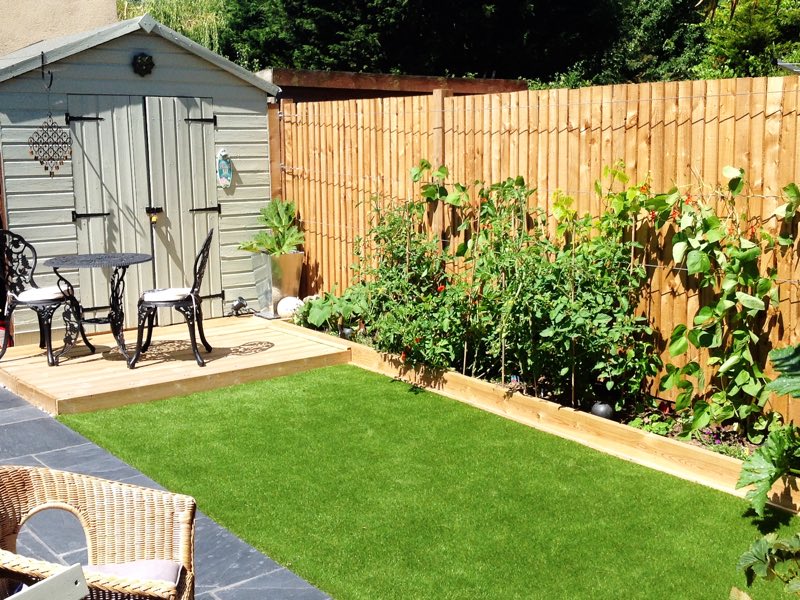 No-maintenance-lawn