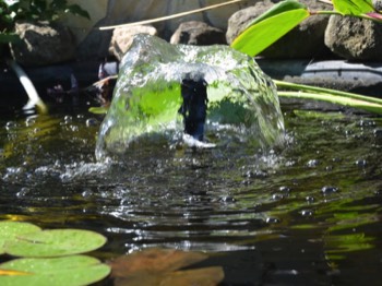  A simple fountain can be relaxing 